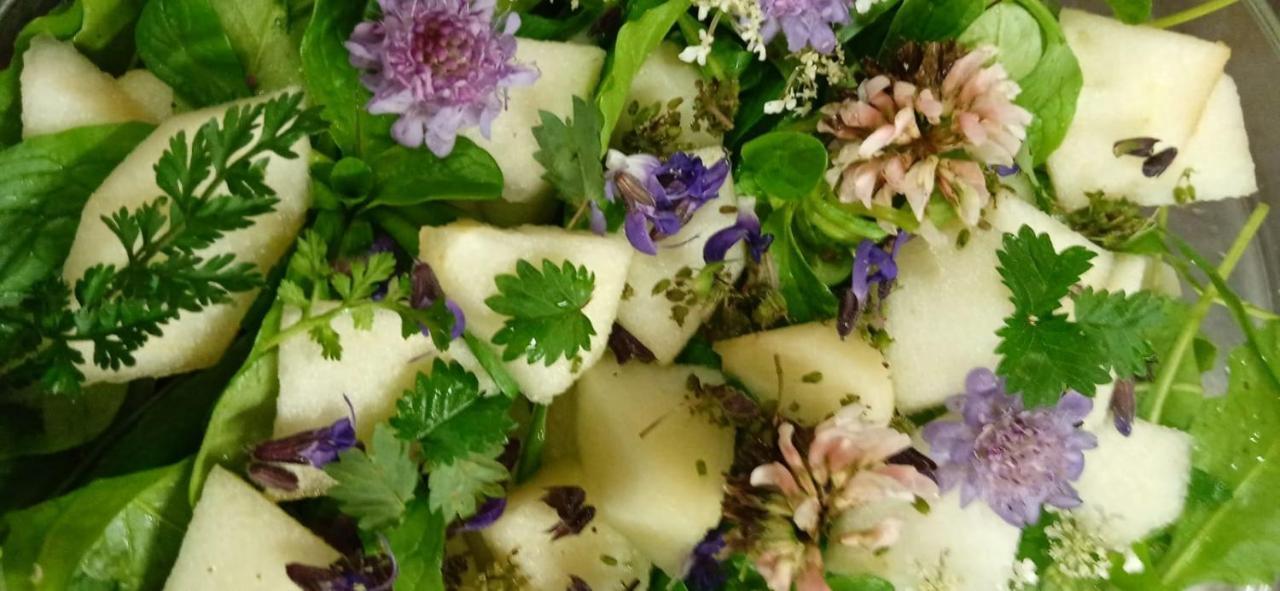 Agriturismo Con Cucina Tipica Nuova Scardua Cavriana Eksteriør bilde