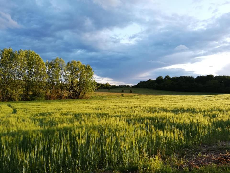 Agriturismo Con Cucina Tipica Nuova Scardua Cavriana Eksteriør bilde