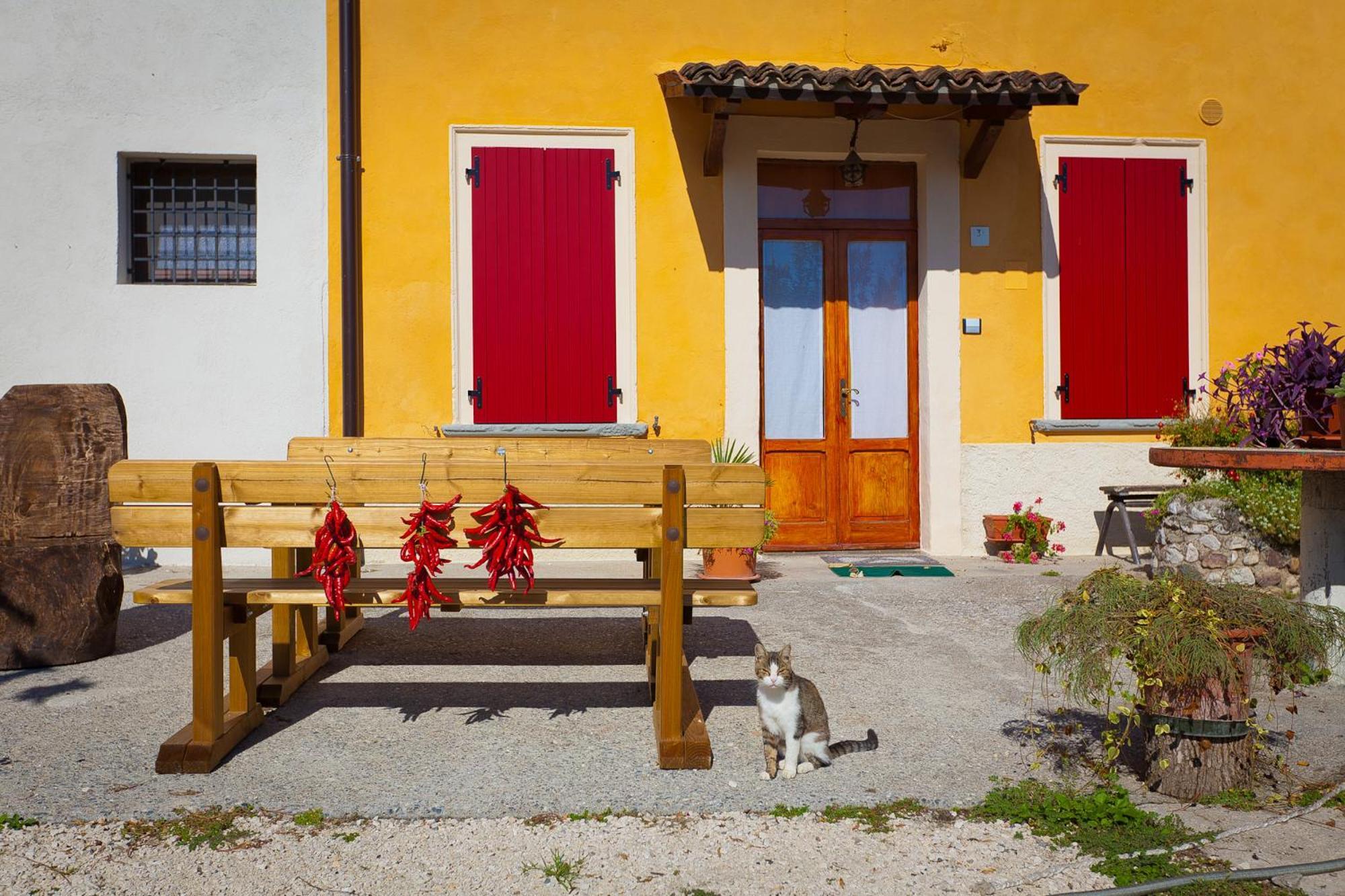 Agriturismo Con Cucina Tipica Nuova Scardua Cavriana Eksteriør bilde