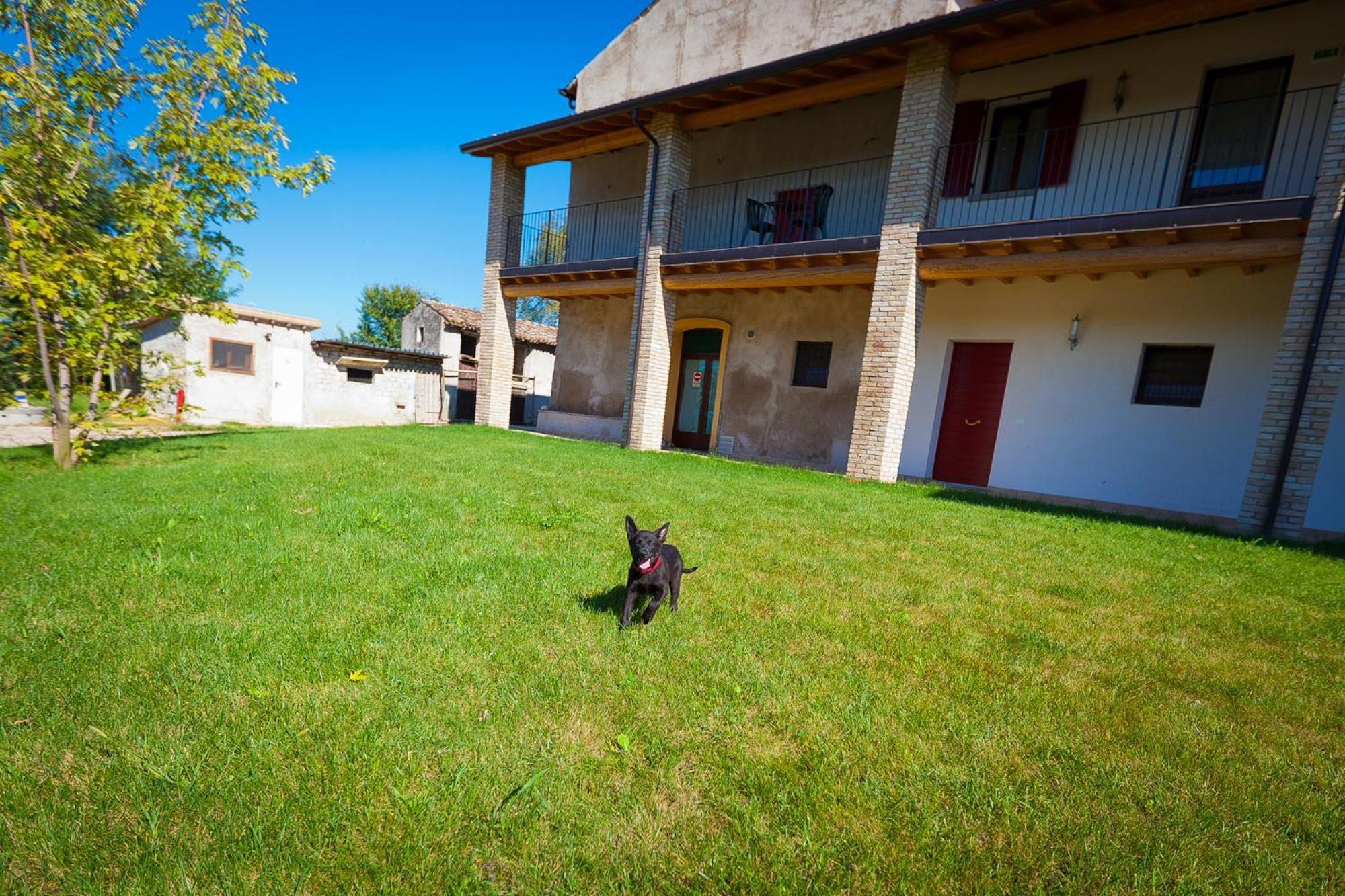 Agriturismo Con Cucina Tipica Nuova Scardua Cavriana Eksteriør bilde