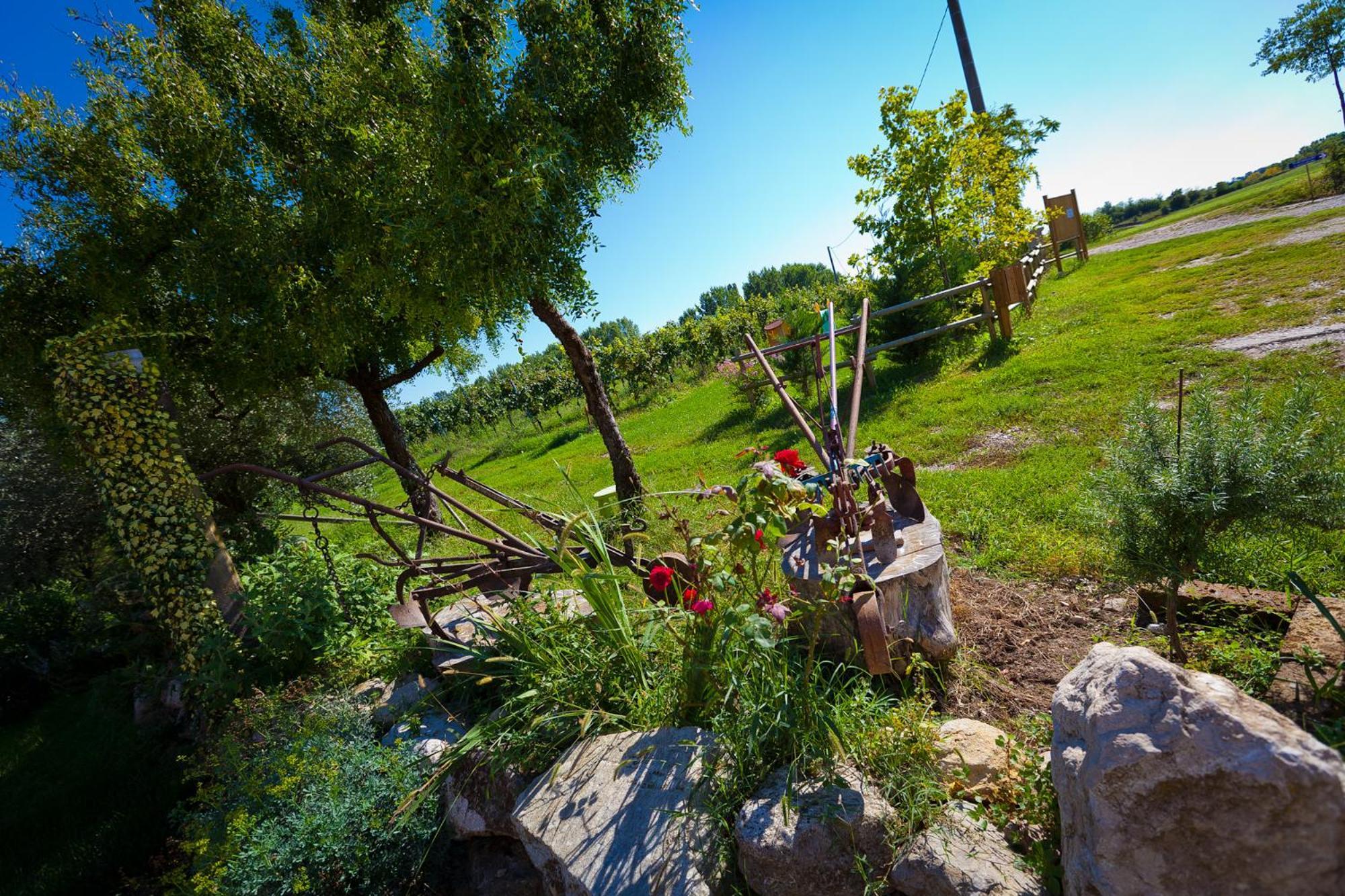 Agriturismo Con Cucina Tipica Nuova Scardua Cavriana Eksteriør bilde