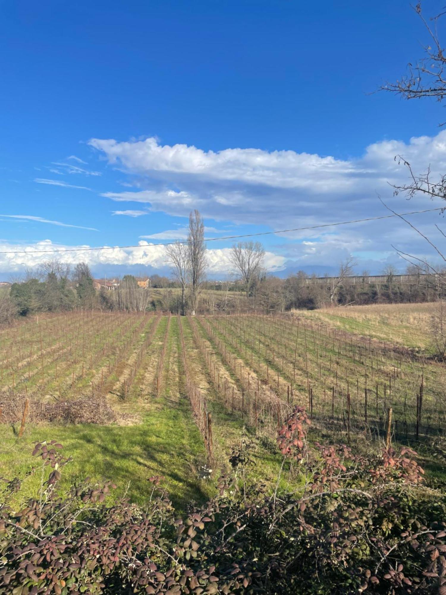 Agriturismo Con Cucina Tipica Nuova Scardua Cavriana Eksteriør bilde